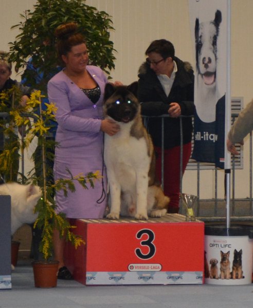 Branco 3e beste jeugdreu show