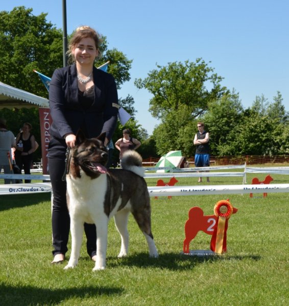 2e Plaats voor Sky