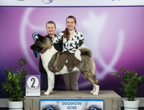 Dogshow Goes 15 en 16 april 2017 (EN)